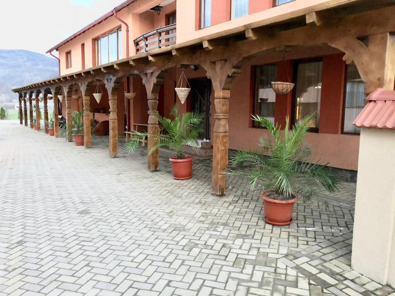 Pensiunea Sasu Sieu  Exterior photo